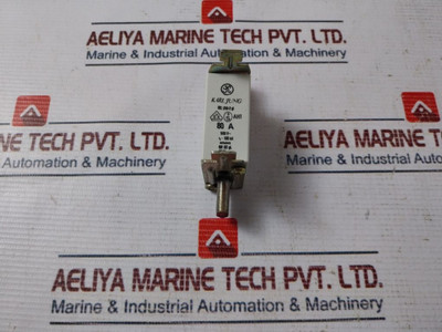 Karl Jung Iec 269-2 Gl Fuse 80A 500V Used