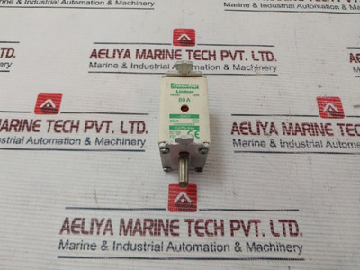 Ferraz Shawmut Lindner F227866 Fuse 80A 690V Used