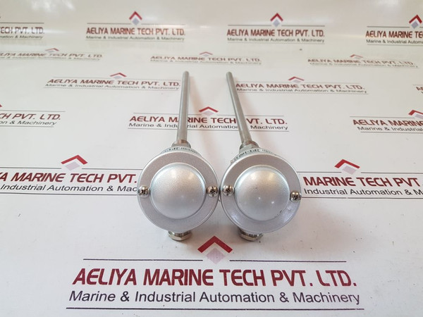 2Pt 100 Ω Temperature Sensor