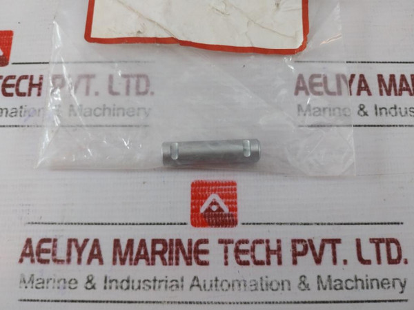 Oteco 142403 Rrv Pin 2 Reg/Hp & 3 Reg (1 Packet = 2Pcs) - New