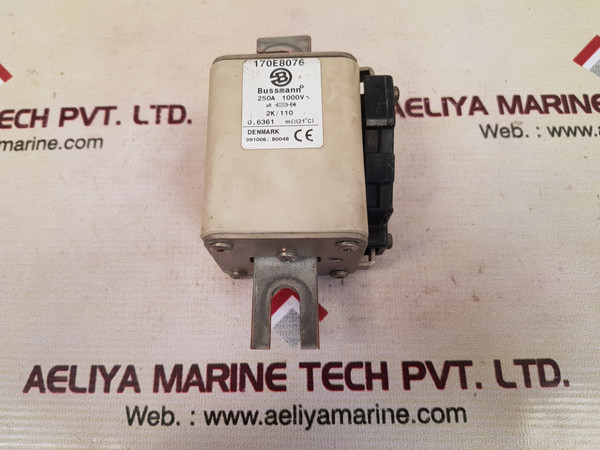 Bussmann 170E8076 Electric Fuse Link 250A 1000V 2K110