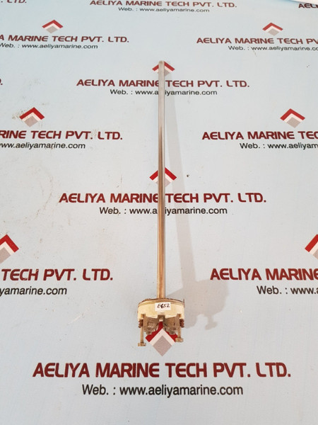 Ametek 2Xpt100 Resistance Thermometer 578819 (Max:400C)