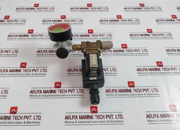 Burkert 5281 A 13,0 Nbr Ms Solenoid Valve, Pressure Gauge, Relief Valve Assembly