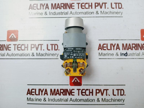 Eao 704.950.0 Switching Element 440Vac/10A 600Vac 10A 24V, 300Vac