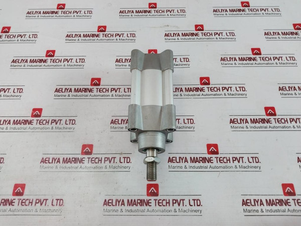 Parker P1F-s063Ms-0025-0000 Pneumatic Cylinder 10 Bar - New