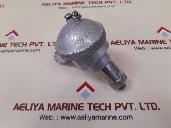 Dong Yang Mgxt-2000 Pressure Transmitter 24Vdc