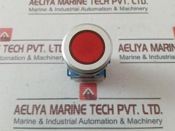 Eao 08.950.0 Self Resetting Push Button Switch With Lamp Block A039922 Ac500V Dc - Used