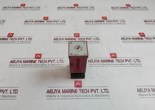 Fiber E 58 Multifunction Electronic Timer 24/110/220V 250V- 10A 30X4W