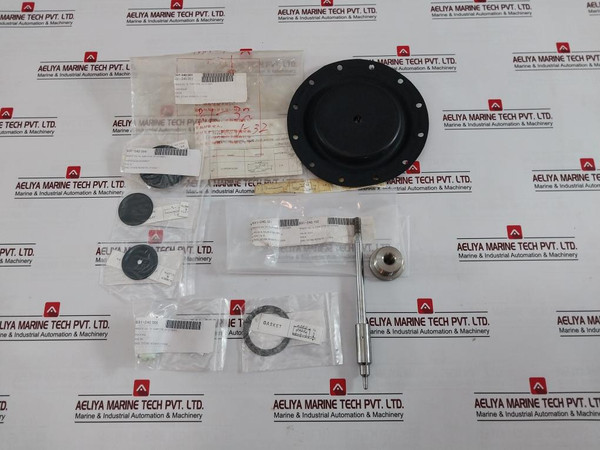 Nakakita Seisakusho Temperature Control Valve & Diaphragm Assy Gasket Kit 200Cr