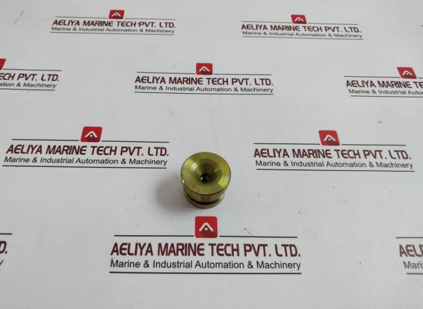 Bv-201 Plug For Water Test - Boiler Safety & Relief Valve