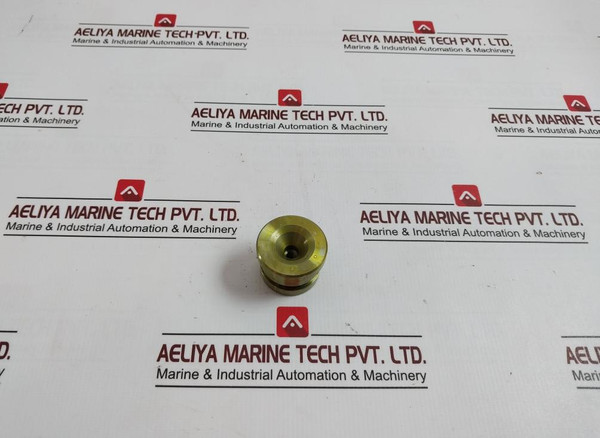 Bv-201 Plug For Water Test - Boiler Safety & Relief Valve