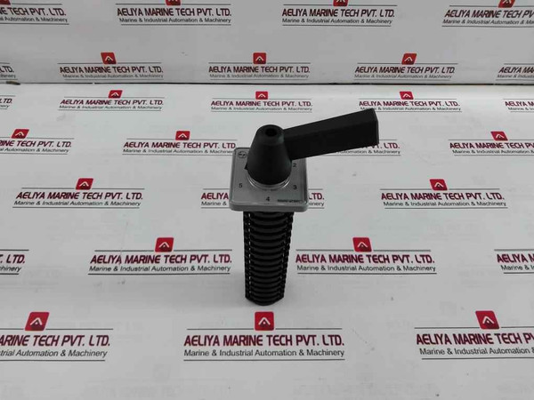 Salzer Rotary Cam Switch
