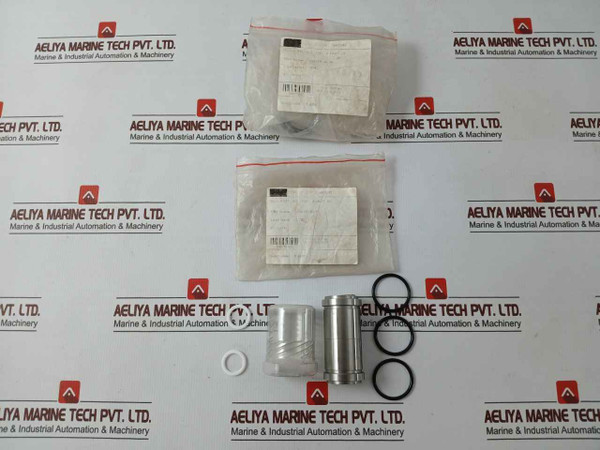 Sae 1931386-02-rk Repair Valve Kit 1/2 2-inlet