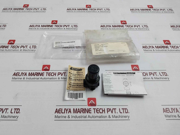 Speedaire 4Zm08 Air Regulator 300 Psig Max 21 Bar Max 160, 602-03-02