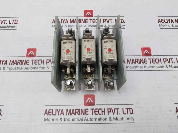 Efen Nh00 Fuse Holder With Fuses 500V~ Vde 0636/21 35110150