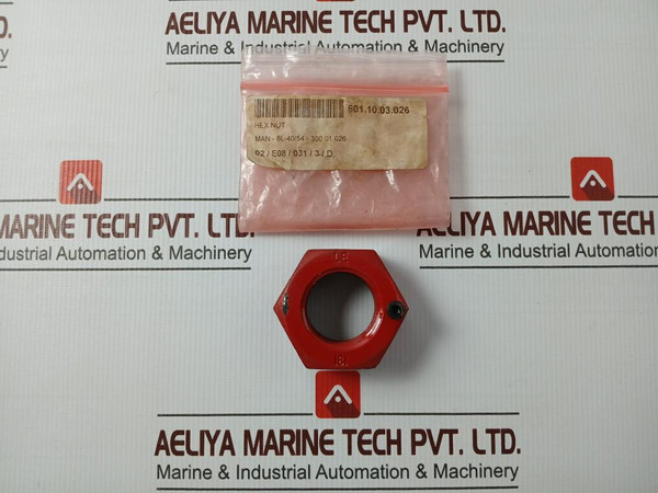 Man 300.01.026 Rud Rm Eye Nut