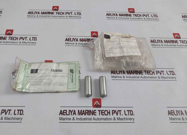 Tsc 21485-21-4101/24 Extractable Dowel Pin X 50 Lg Dia