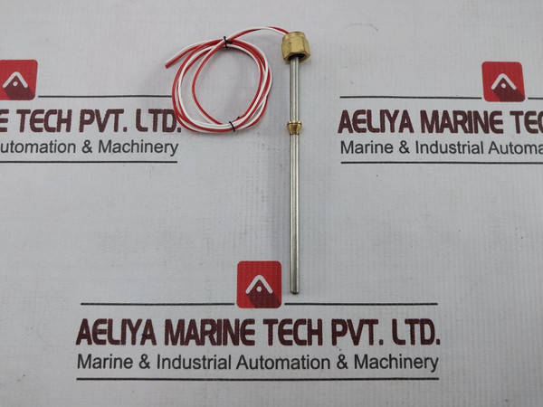 Swagelok Temperature Sensor