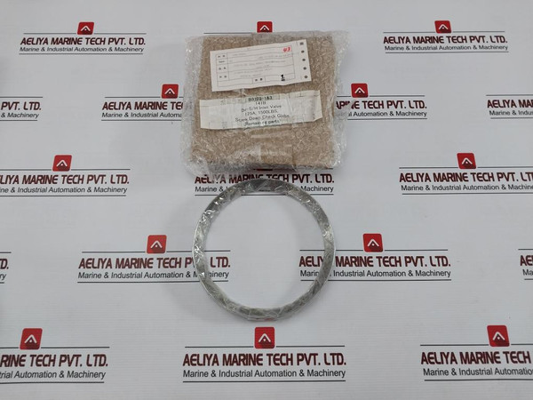 980276 Seal Ring For Main Boiler Piston Valve