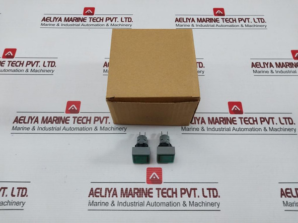 L5. 250V 2W Pushbutton Switch