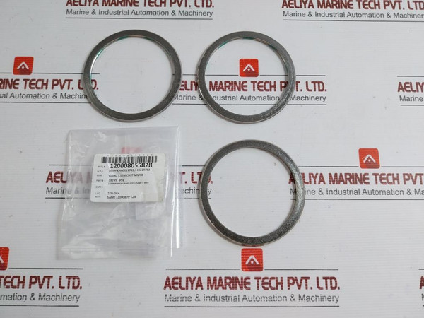 Sealing Gasket For Main Feed Pump 18295 956