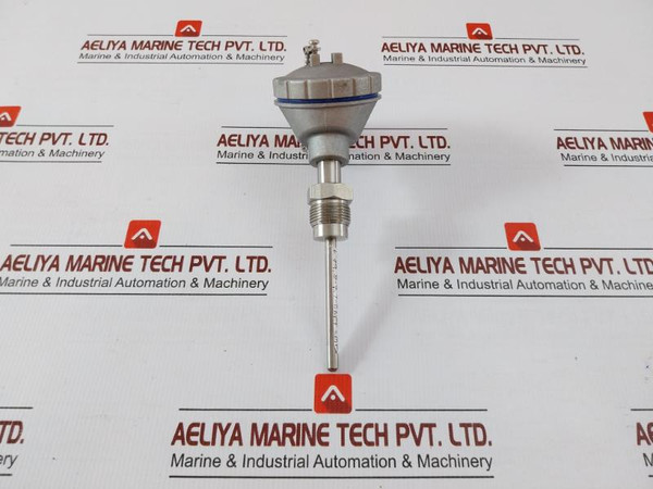 Dae Yang Instrument Resistance Temperature Detector Pt 100