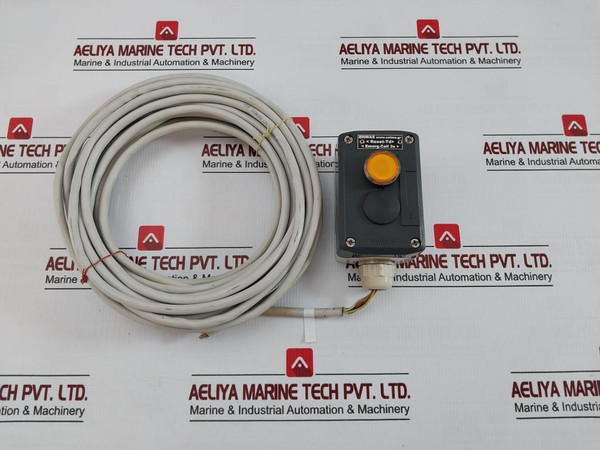 Schneider Electric 9-meter Selma Bnwas Bridge Remote Reset Station
