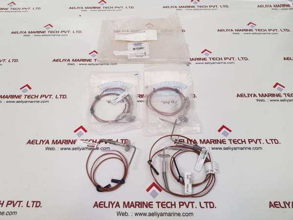 Watlow gordon af 1080801 thermocouple  