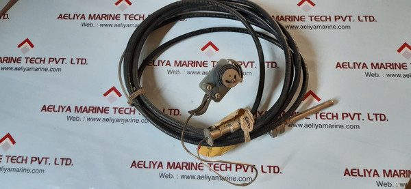 Thermometer+Medeliry Tayl01