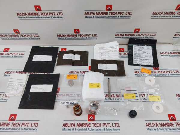 Oceaneering 100755-RK Repair Valve Kit