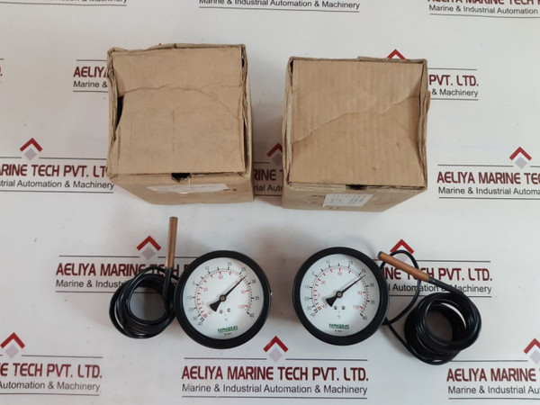 Famabras 7843001001 Thermometer