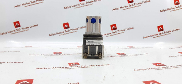 Allen Bradley 800T-QB24 Blue Illuminated Pushbutton Series T - Cat: 800T-XA