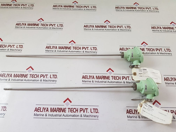 Master italy 2 pt 100 resistance temperature detector