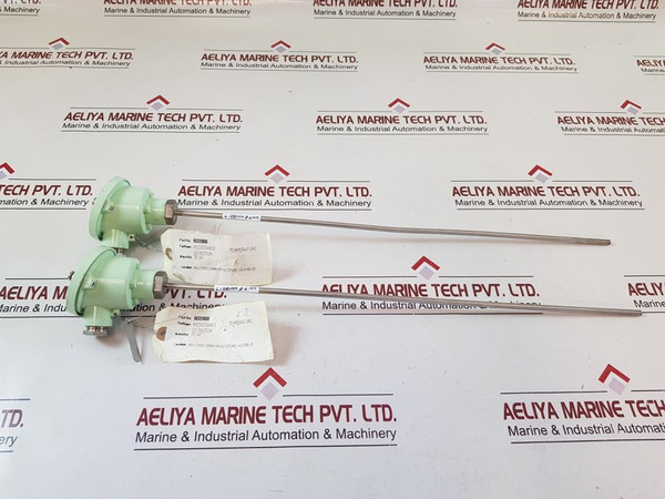 Master 2 Pt 100 Resistance Temperature Detector 603988