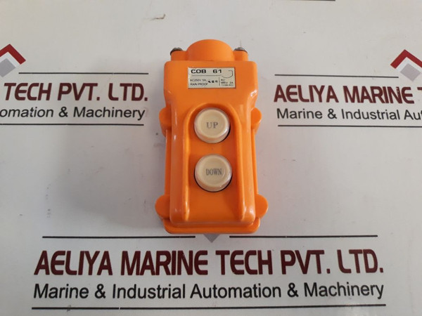 Cob 61 Rain Proof Push Button Switch Ac250V 5A