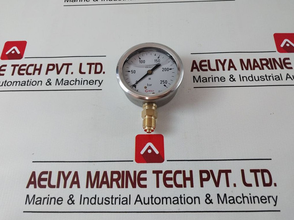 Huisman Casli En 837-1 Pressure Gauge 2001001 0-250 Bar