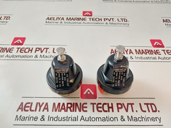 Cash Valve 1/4 Cp Differential Pressure Reducing Valve 600 Psi