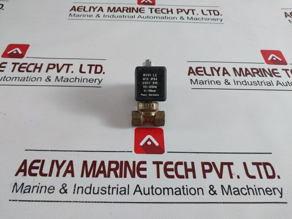 Rapa Bv01 L2 M13 Solenoid Valve & Coil 0-19Bar