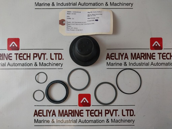 Electro-flow Efc29439Pi Seal Kit 593787