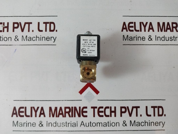 Rapa Bv01 L2 1/4  Solenoid Valve Coil