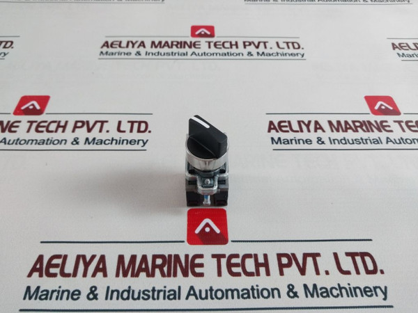 Schneider Electric Xb4Bd25 Harmony Selector Switch 10A