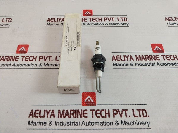 Auburn Spark Plug Ignitor - Auburn - Spak/Spark Plug Used