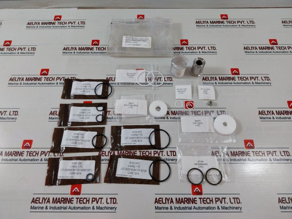 Valve Repair Kit Cameron