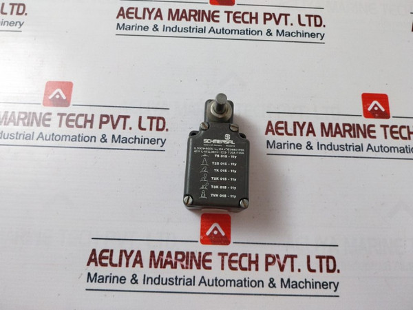 Limit Switch Schmersal Ts 015-11Y - Heavy Duty