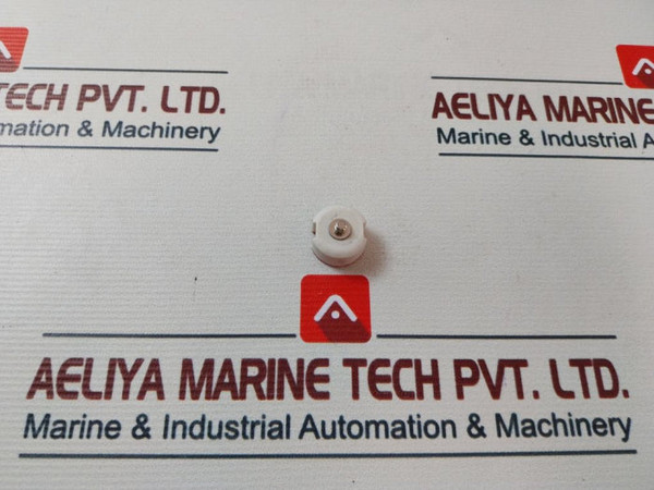 Siemens 10/500 Diazed Fitting Screw