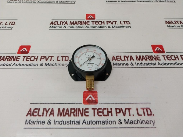Tess En 837-1 Pressure Gauge