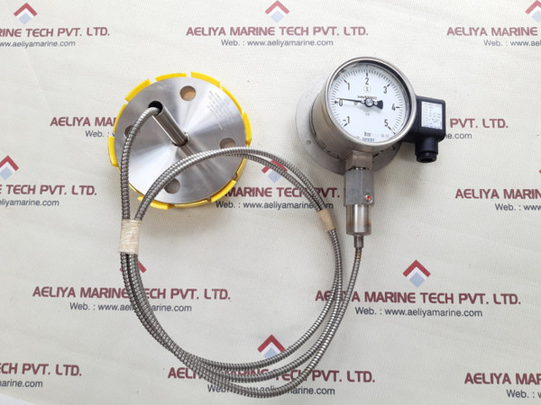 Wika PGT23.100 flange diaphragm with gauge 990.27 - transmitter