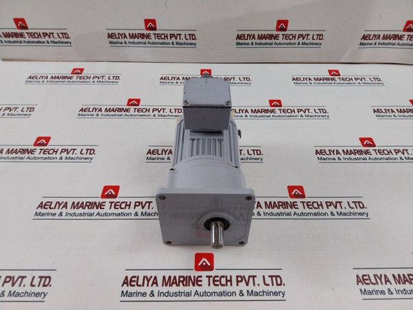 G3Km-18-10-t020A 3-phase Induction Gear Motor