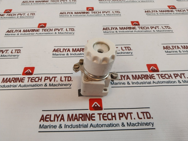 Siemens 63/500 Fuse Screw Caps