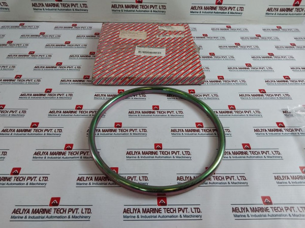 Gasket Ring Klinger 6A-0348 - I-novus